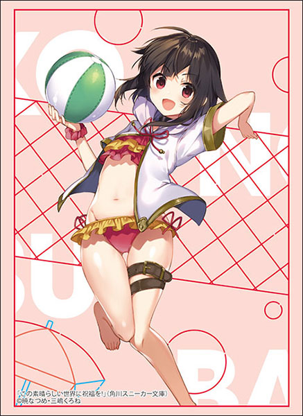 Bushiroad Sleeves Collection "Kadokawa Sneaker Bunko" Series-Vol.4790-Bushiroad-Ace Cards & Collectibles