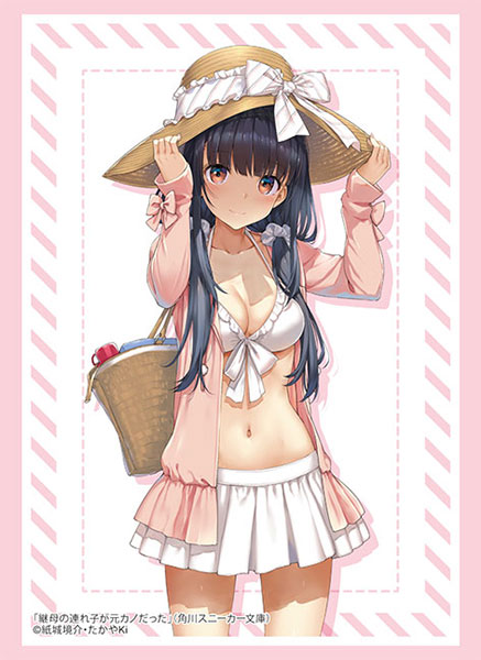 Bushiroad Sleeves/Deck Holder/Storage Box & Rubber Mat Collection "Kadokawa Sneaker Bunko" Series-Vol.4810-Bushiroad-Ace Cards & Collectibles