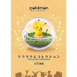Re-Ment Pokémon Terrarium Collection 1-Single Box (Random)-Re-Ment-Ace Cards & Collectibles