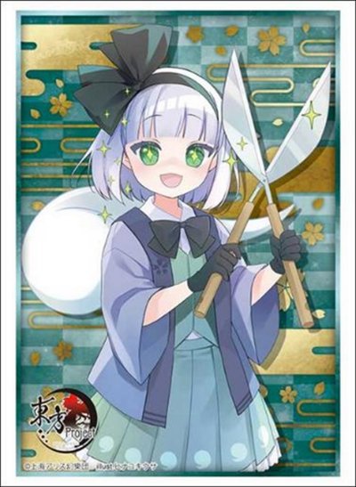 Bushiroad Sleeves/Deck Holder/Storage Box/Playmat Collection -Touhou Project- Series