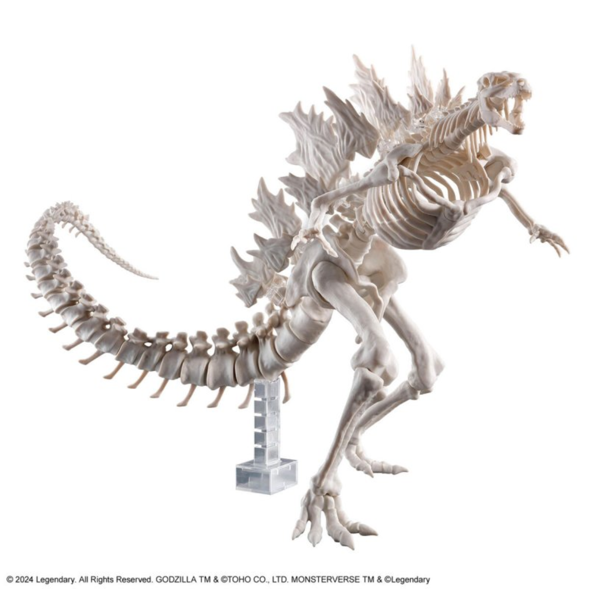 Bandai Godzilla (2024) from "Godzilla x Kong: The New Empire"-BANDAI-Ace Cards & Collectibles