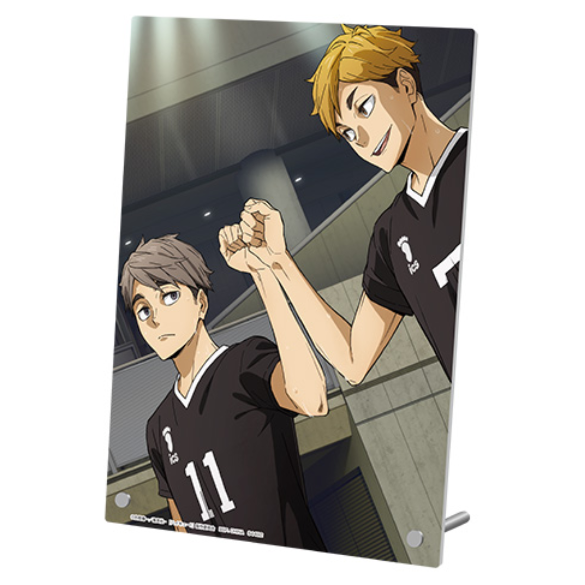 Ichiban Kuji Haikyu!! ~10th anniversary!~ "C Prize Acrylic Board"-Type D-BANDAI-Ace Cards & Collectibles