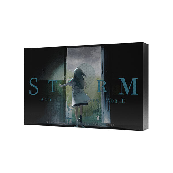 Reverse: 1999 Image of Time Illustration Acrylic Standees-Storm/New World-BLUEPOCH-Ace Cards & Collectibles