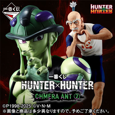 Ichiban Kuji HUNTER×HUNTER Chimera Ant 2-Bandai-Ace Cards & Collectibles