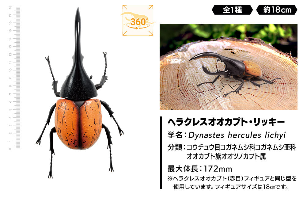Ichiban Kuji Insects: A collection of insects from around the world! A / B / C / D / Last Prize-A Prize-Bandai-Ace Cards & Collectibles
