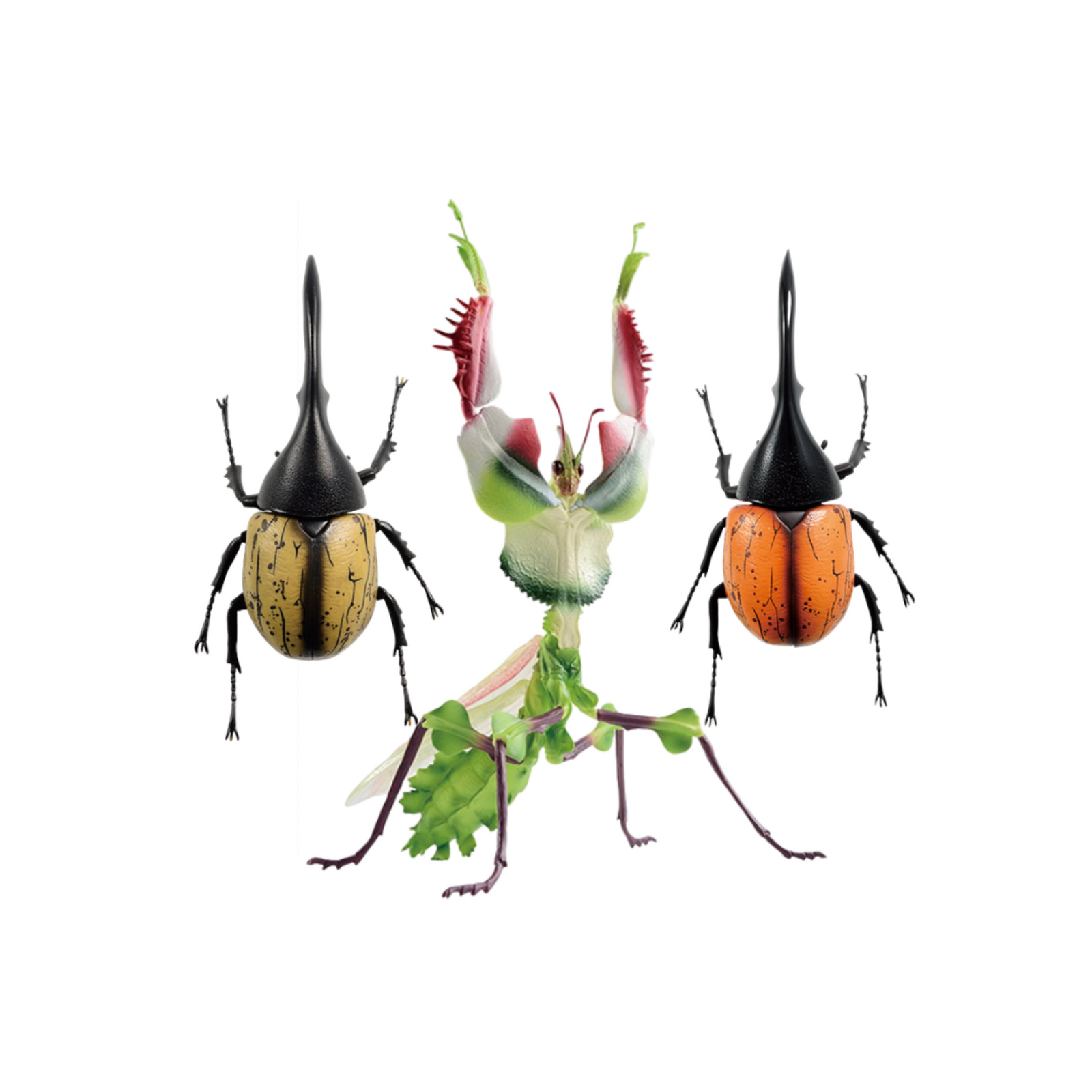 Ichiban Kuji Insects: A collection of insects from around the world! A / B / C / D / Last Prize-A Prize-Bandai-Ace Cards & Collectibles