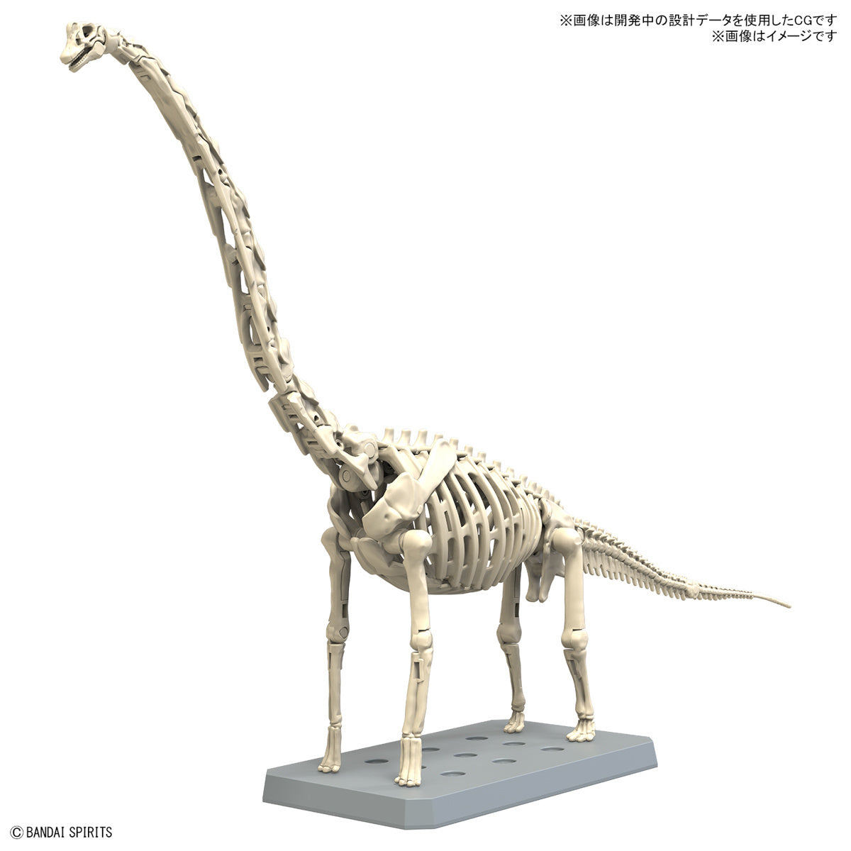 New Dinosaur Plastic Model Kit &quot;Brachiosaurus&quot;-Bandai-Ace Cards &amp; Collectibles