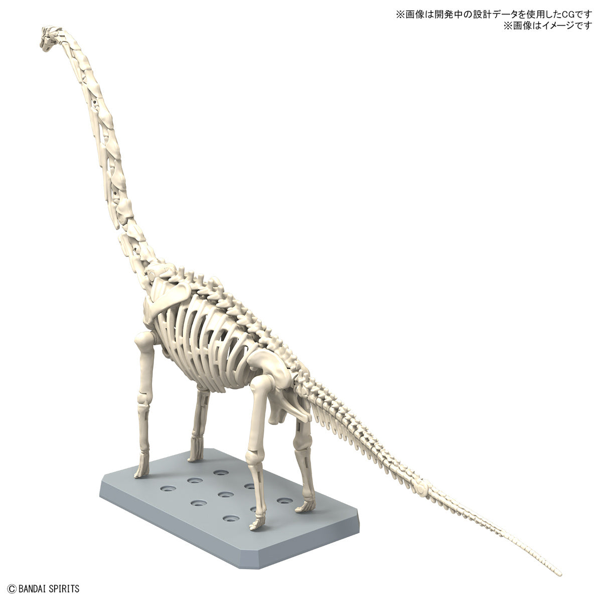 New Dinosaur Plastic Model Kit &quot;Brachiosaurus&quot;-Bandai-Ace Cards &amp; Collectibles