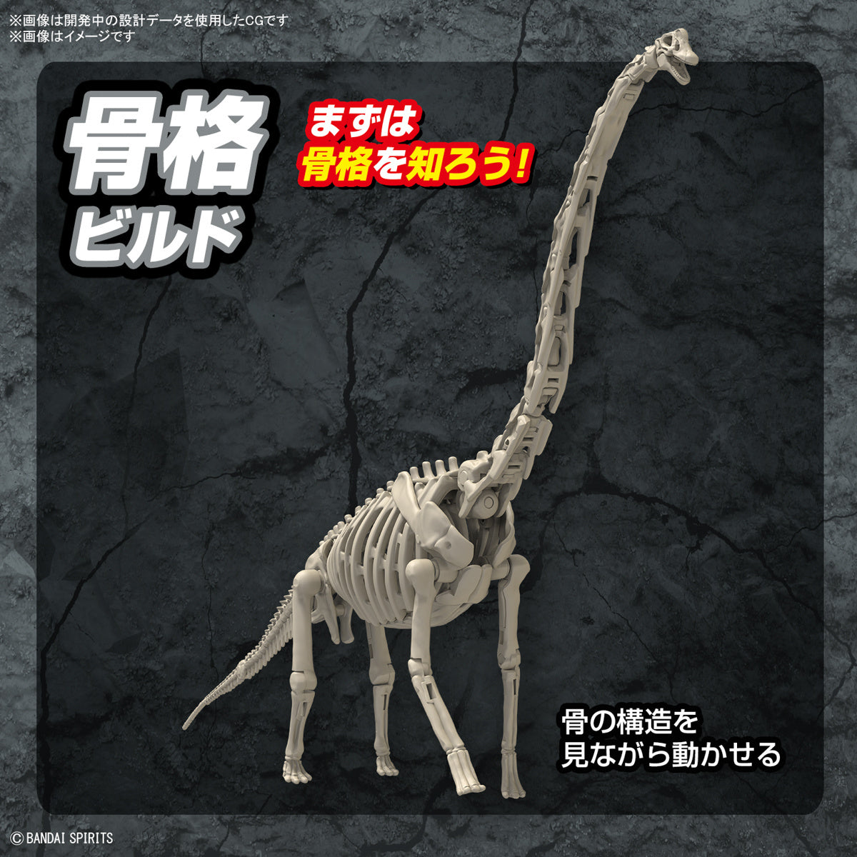 New Dinosaur Plastic Model Kit &quot;Brachiosaurus&quot;-Bandai-Ace Cards &amp; Collectibles