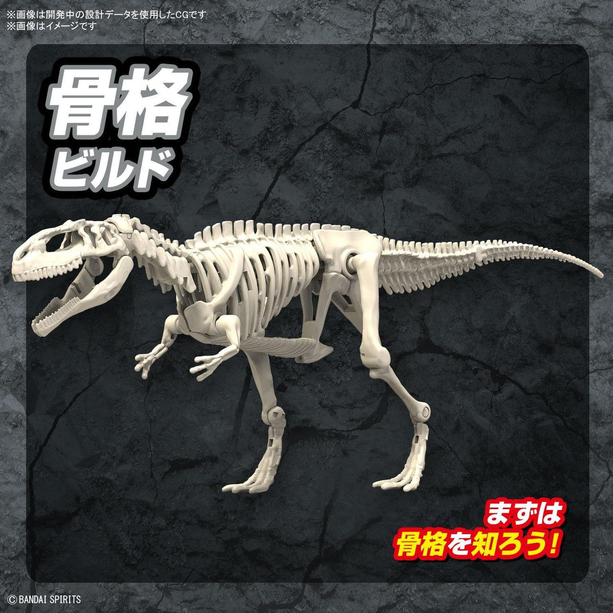 New Dinosaur Plastic Model Kit Brand &quot;Plannosaurus Giganotosaurus&quot;-Bandai-Ace Cards &amp; Collectibles
