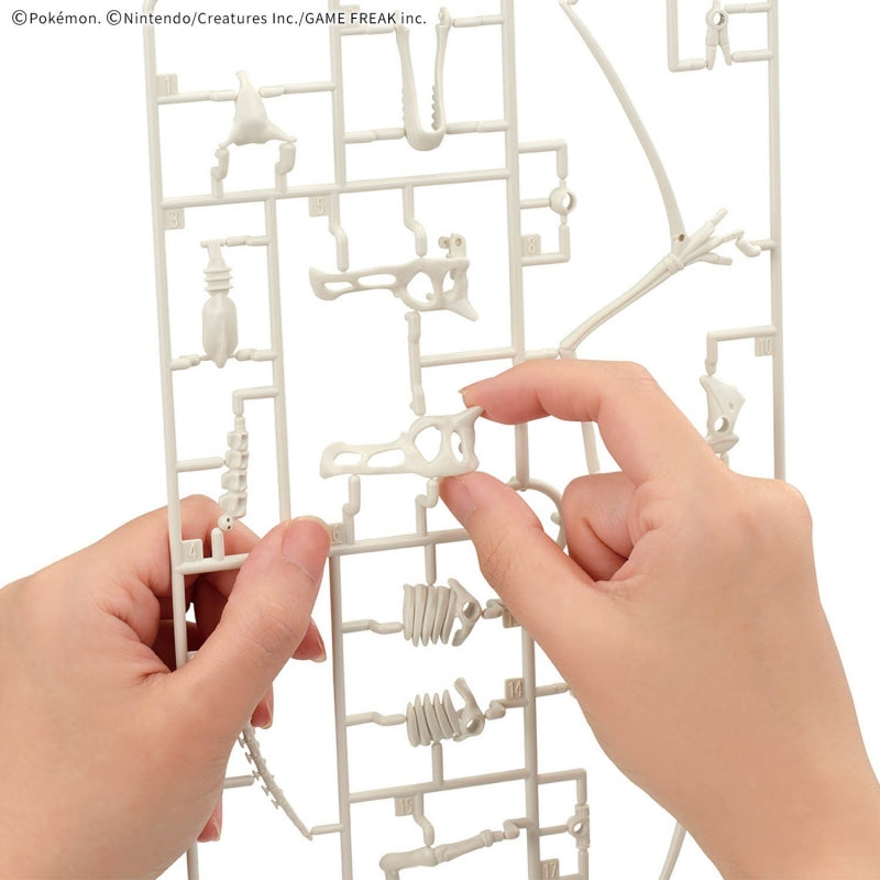 Pokemon Plamo Collection Fossil Series "Aerodactyl"-Bandai-Ace Cards & Collectibles