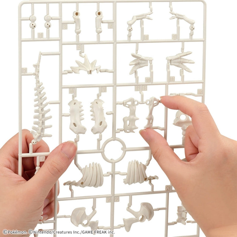 Pokemon Plamo Collection Fossil Series "Tyrantrum"-Bandai-Ace Cards & Collectibles