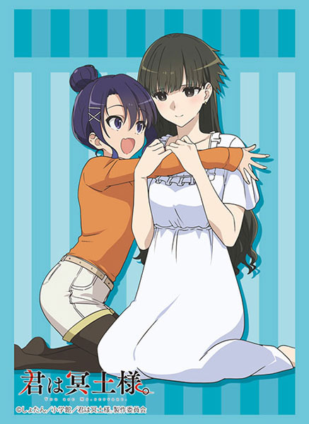 Bushiroad Sleeves Collection -You Are Ms. Servant - Series Vol.4637~4639-Vol.4637-Bushiroad-Ace Cards & Collectibles