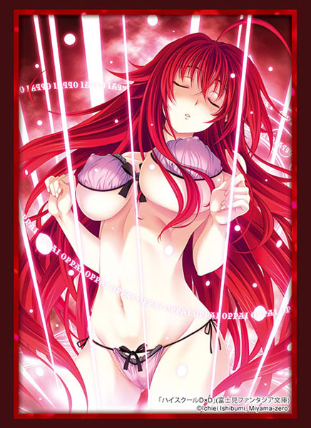 Bushiroad Sleeves & Playmat Collection -High School DxD- Series-Vol.4566-Bushiroad-Ace Cards & Collectibles