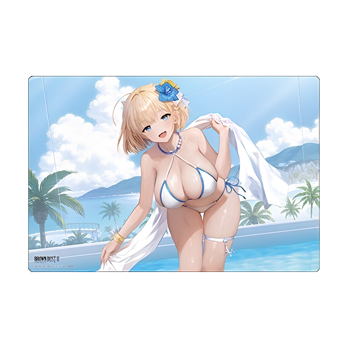 Bushiroad Sleeves & Playmat Collection -Brown Dust 2 Series