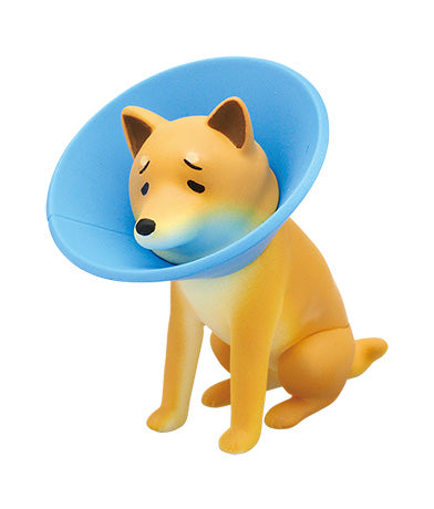 Kitan Club x Sad Doggo-Single Box (Random)-Kitan Club-Ace Cards & Collectibles