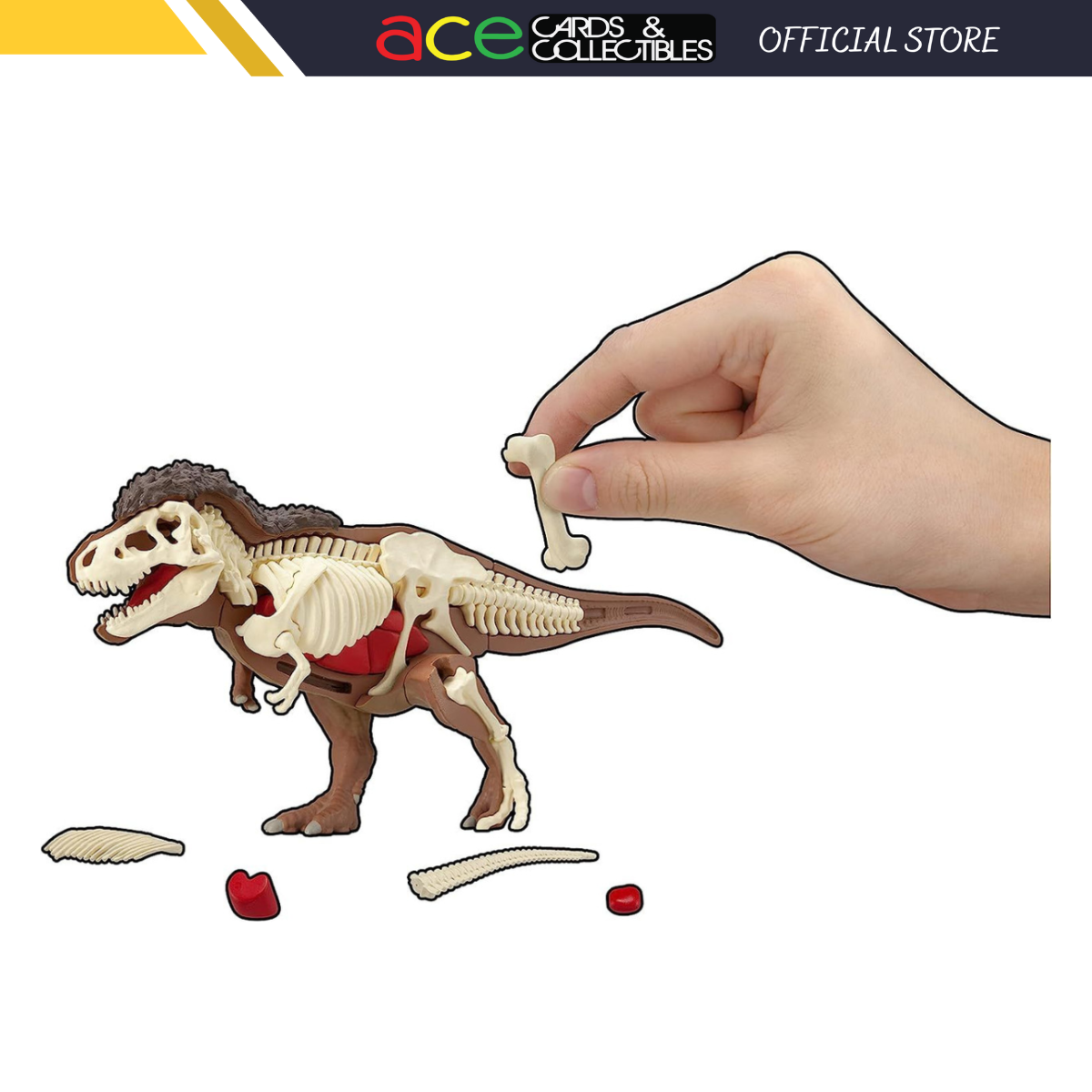 Kaitai Puzzle "Tyrannosaurus Puzzle"-MegaHouse-Ace Cards & Collectibles