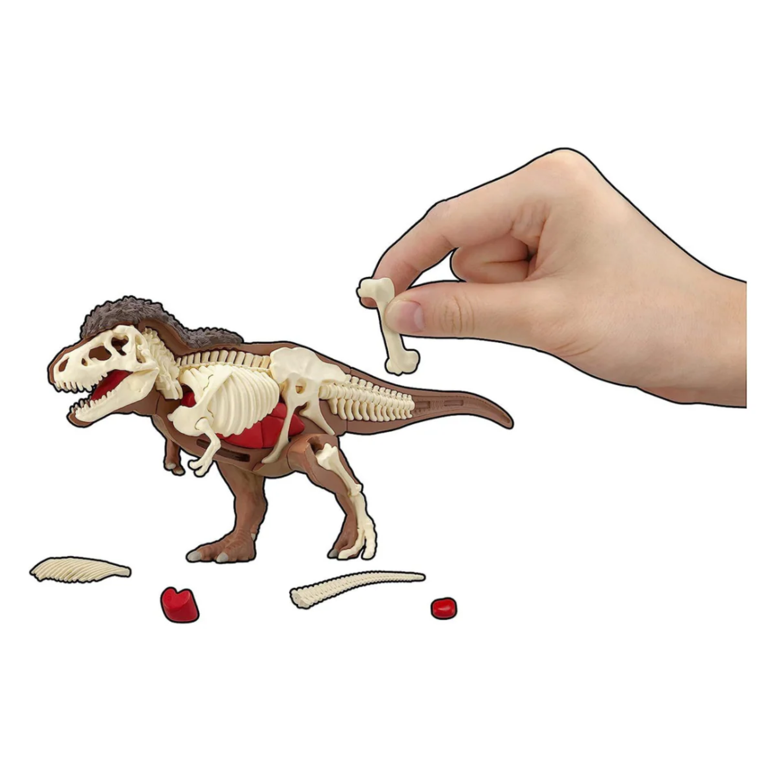Kaitai Puzzle "Tyrannosaurus Puzzle"-MegaHouse-Ace Cards & Collectibles