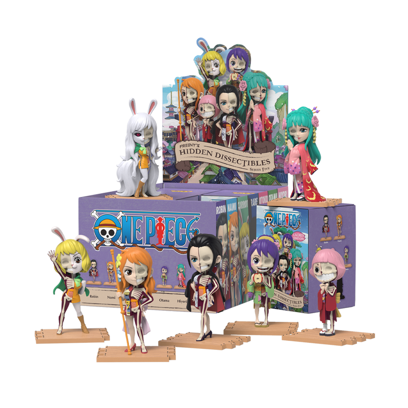 Mighty Jaxx x Freeny's Hidden Dissectibles One Piece Series 5 (Ladies Edition)-Single Box (Random)-Mighty Jaxx-Ace Cards & Collectibles