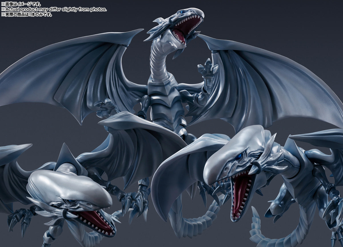 Yu-Gi-Oh! S.H.MonsterArts &quot;Blue-Eyes White Dragon&quot;-Tamashii-Ace Cards &amp; Collectibles