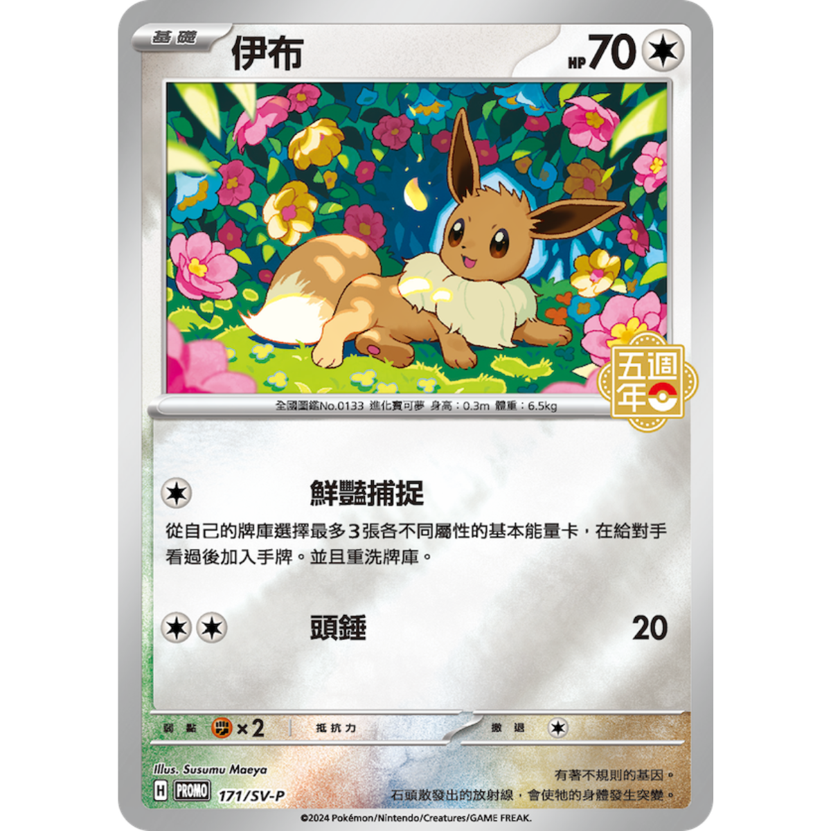 Pokemon TCG 寶可夢集換式卡牌遊戲 繁體中文版五週年紀念 手提收納箱組合-The Pokémon Company International-Ace Cards &amp; Collectibles