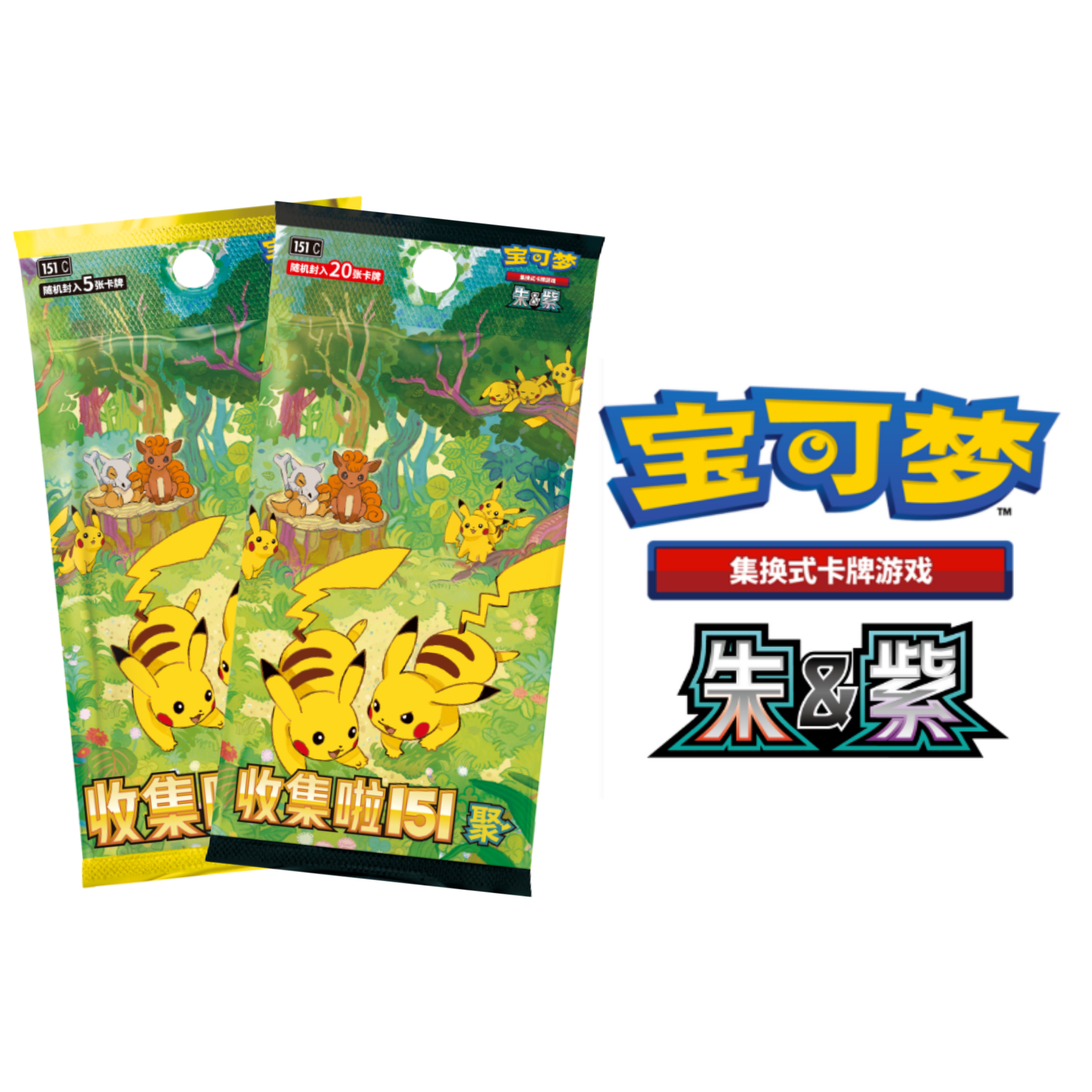 Pokemon TCG 朱&紫 宝可梦集换式卡牌游戏 收集啦151 聚(Simplified Chinese)-瘦包 (包）-The Pokémon Company International-Ace Cards & Collectibles
