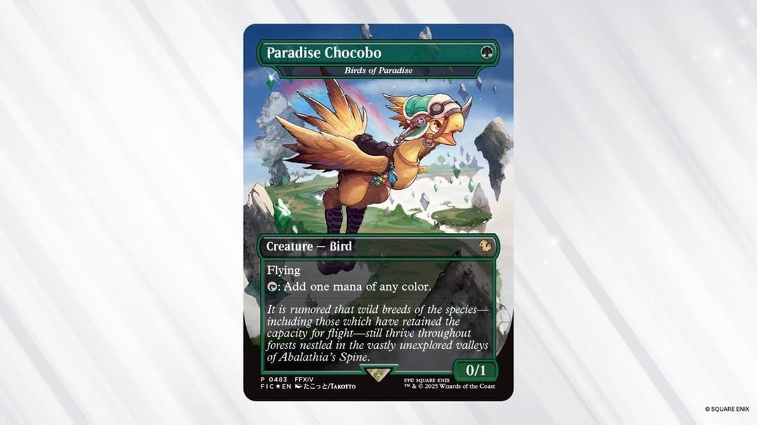 Magic: The Gathering Final Fantasy Chocobo Bundle-Wizards Of The Coast-Ace Cards & Collectibles