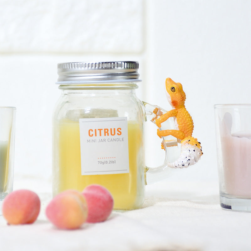 Ale Hug Anywhere! Leopard Charm-Single Box (Random)-Yell-Ace Cards & Collectibles