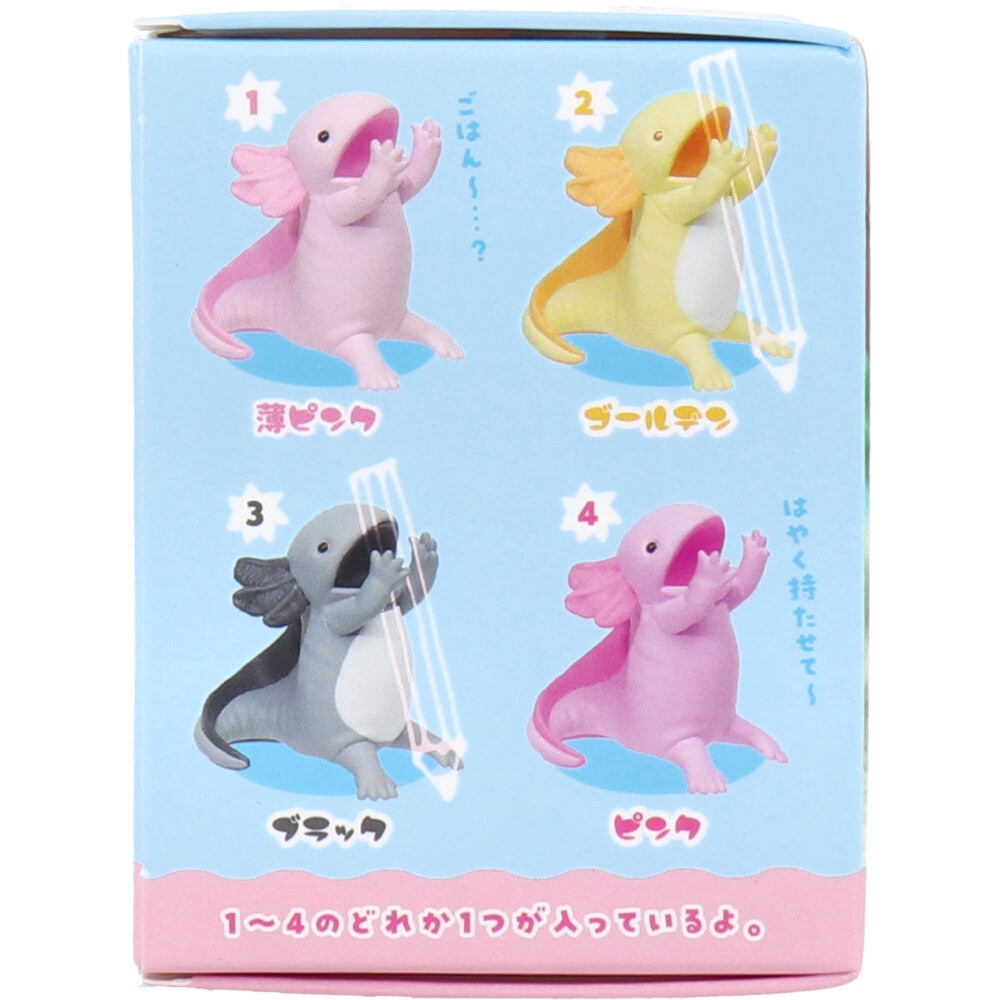 Bite! Axolotl Blind Box-Single Box (Random)-Yell-Ace Cards &amp; Collectibles