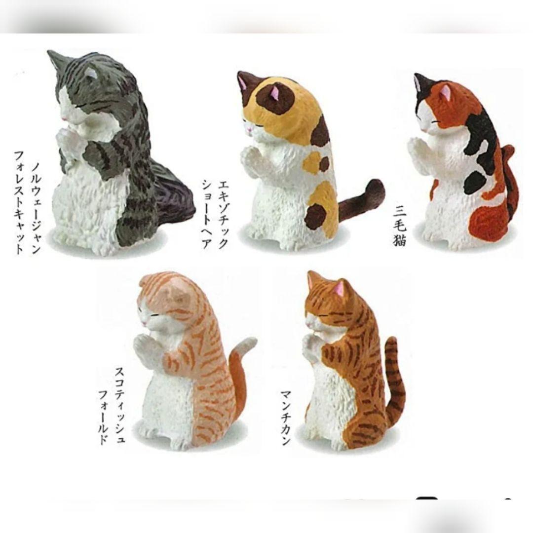 Gassho Artisan Cat Worship-Single Box (Random)-Yell-Ace Cards &amp; Collectibles