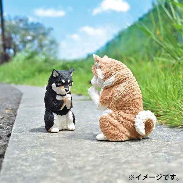 Gassho Artisan Dog Worship-Single Box (Random)-Yell-Ace Cards & Collectibles