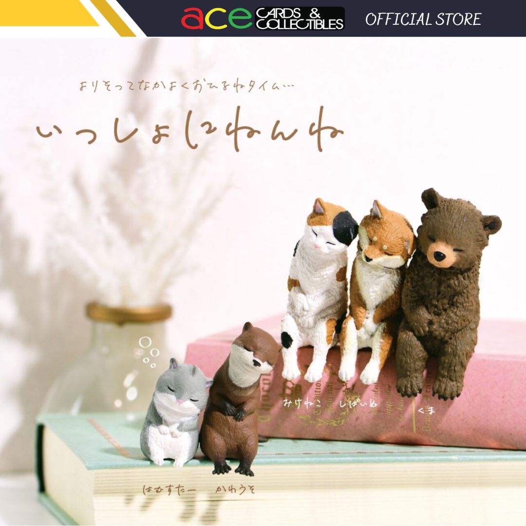 Let&#39;s Sleep Together-Single Box (Random)-Yell-Ace Cards &amp; Collectibles
