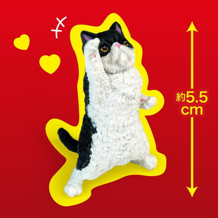 NYAoooo!!-Single Box (Random)-Yell-Ace Cards & Collectibles