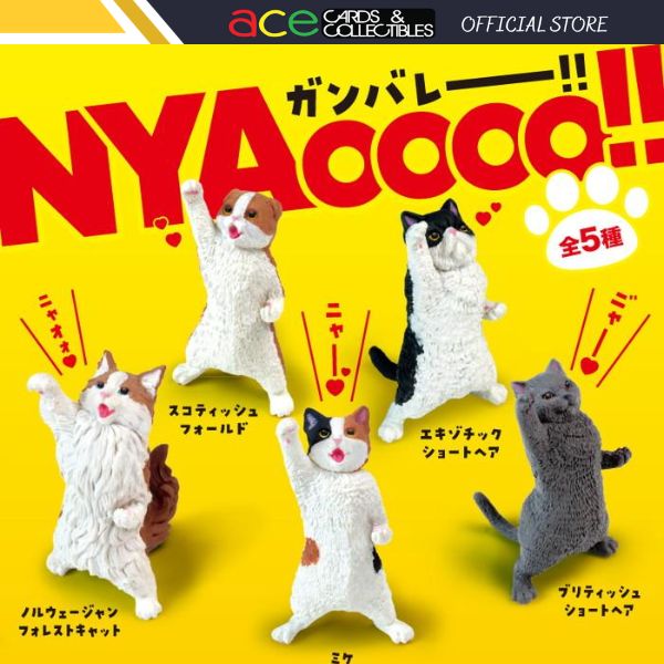 NYAoooo!!-Whole Box (Complete Set of 10)-Yell-Ace Cards &amp; Collectibles