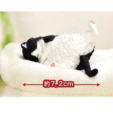 Sleepy,Sleepy,Still Sleepy-Single Box (Random)-Yell-Ace Cards & Collectibles