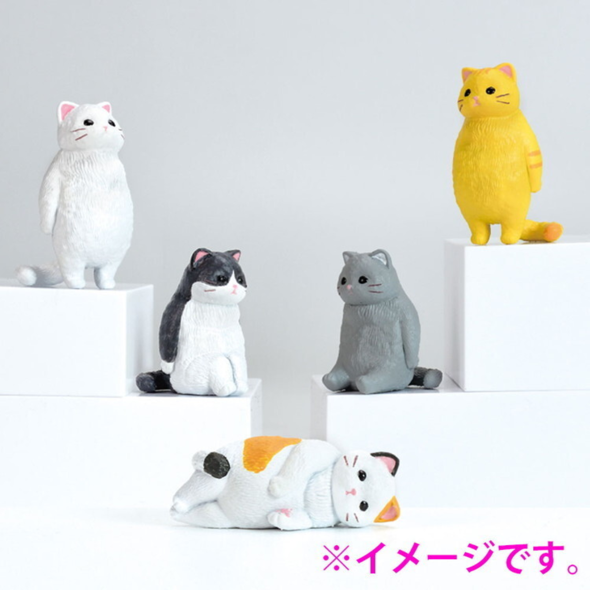 Yell x Kyomu Emptiness Cat-Display Box (Set of 10)-Yell-Ace Cards & Collectibles