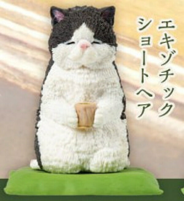 Yell x Warm Kitten Figure Series-Single Box (Random)-Yell-Ace Cards & Collectibles