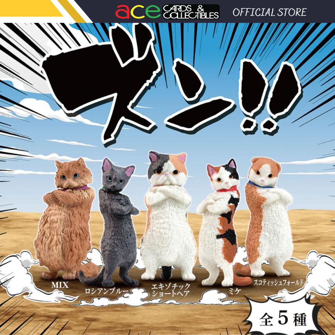 Zun!! Attitude Cat-Single Box (Random)-Yell-Ace Cards & Collectibles