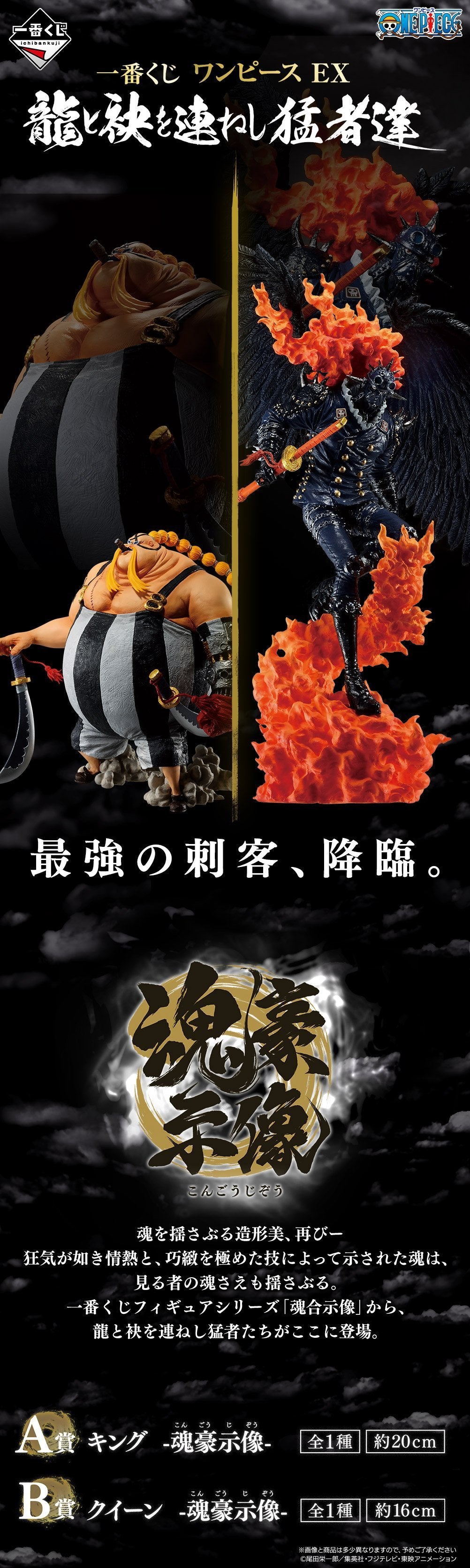 Ichiban Kuji One Piece EX - The Fierce Men Who Gathered At The Dragon-Bandai-Ace Cards & Collectibles