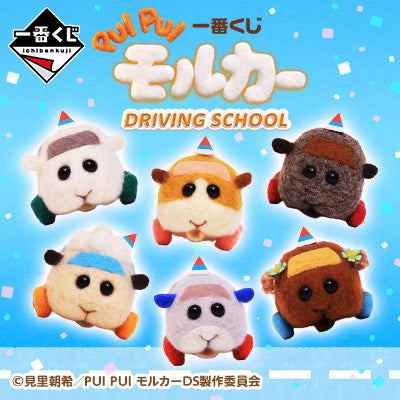 Ichiban Kuji Pui Pui Molcar Driving School-Bandai-Ace Cards &amp; Collectibles