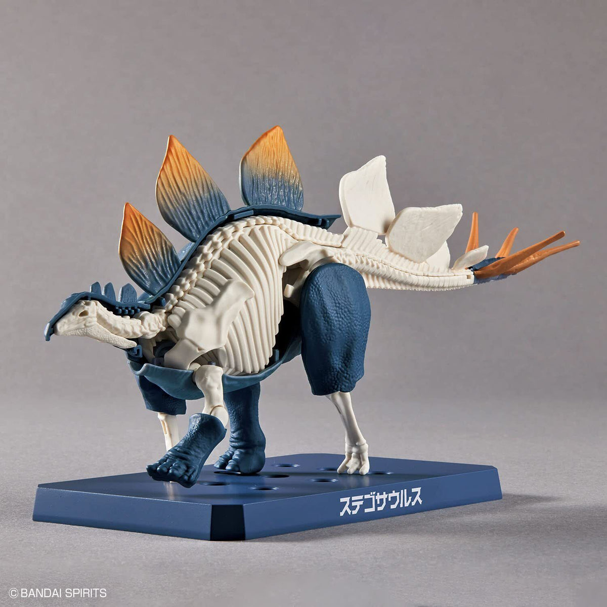 New Dinosaur Plastic Model Kit Brand &quot;Plannosaurus Stegosaurus&quot;-Bandai-Ace Cards &amp; Collectibles