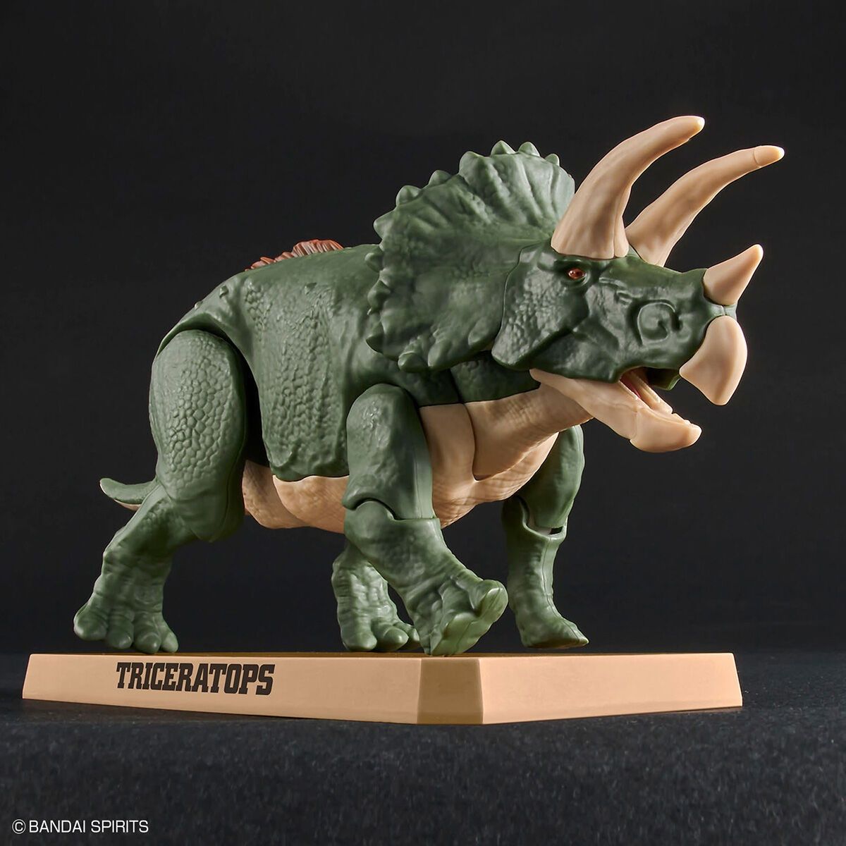 New Dinosaur Plastic Model Kit Brand "Triceratops"-Bandai-Ace Cards & Collectibles