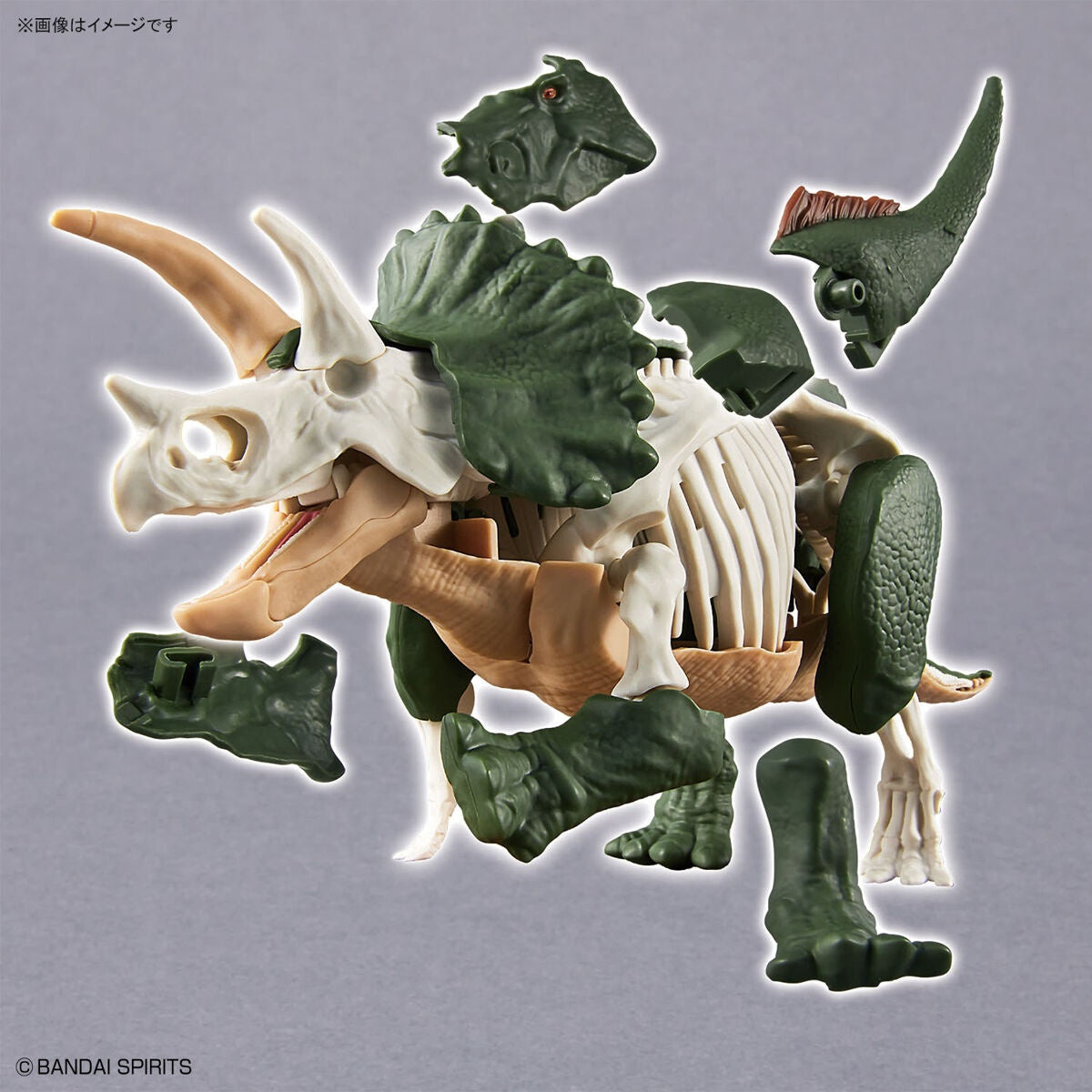 New Dinosaur Plastic Model Kit Brand &quot;Triceratops&quot;-Bandai-Ace Cards &amp; Collectibles