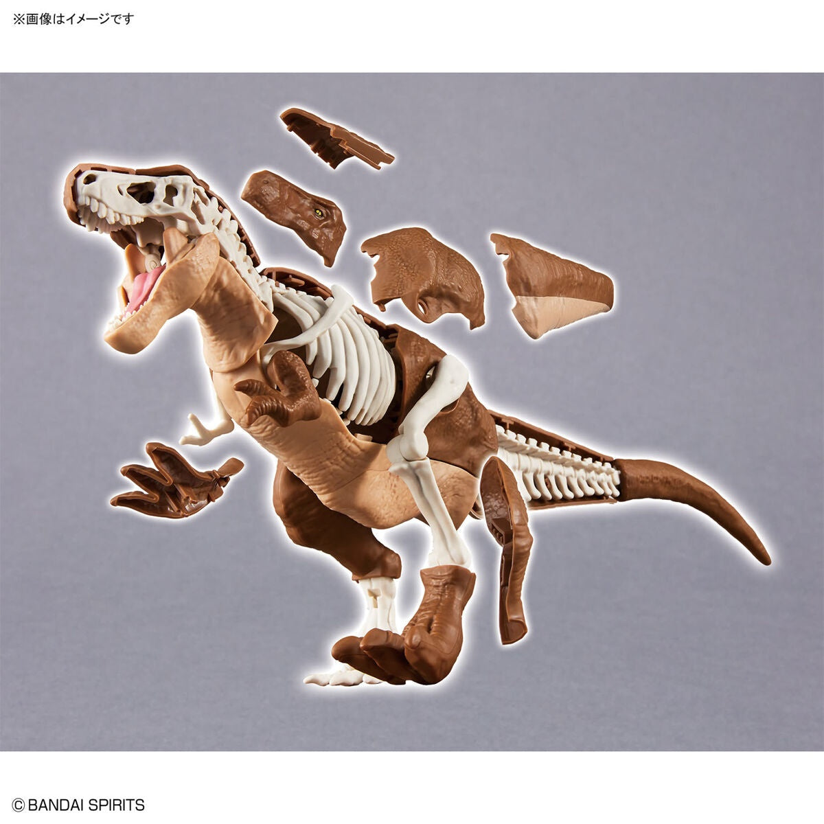 New Dinosaur Plastic Model Kit Brand &quot;Tyrannosaurus&quot;-Bandai-Ace Cards &amp; Collectibles