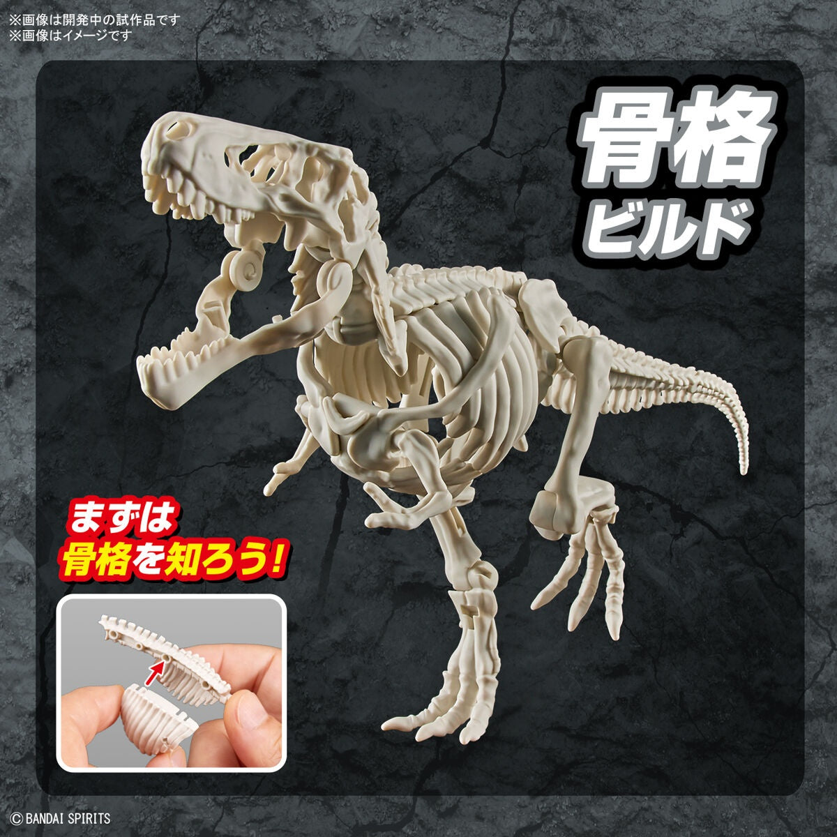 New Dinosaur Plastic Model Kit Brand &quot;Tyrannosaurus&quot;-Bandai-Ace Cards &amp; Collectibles