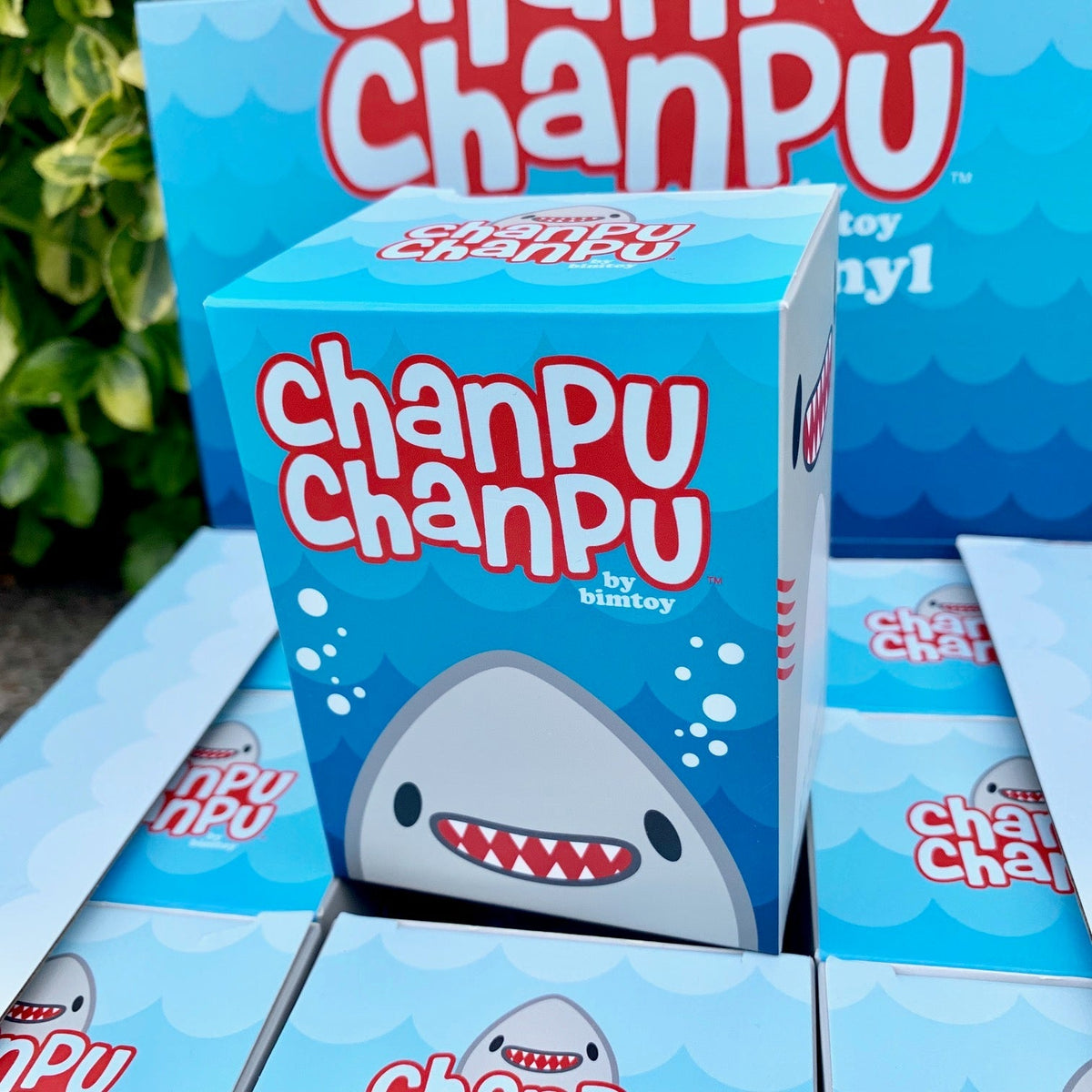 Chanpu Chanpu Blind Bag Minis-Single Box (Random)-Bimtoy-Ace Cards &amp; Collectibles