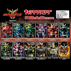 kamen rider card sleeves Skull EN-1357 Kamen Rider W Finally I got new card