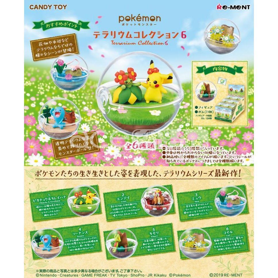 Re-Ment Pokémon Terrarium Collection 6-Single Box (Random)-Re-Ment-Ace Cards & Collectibles