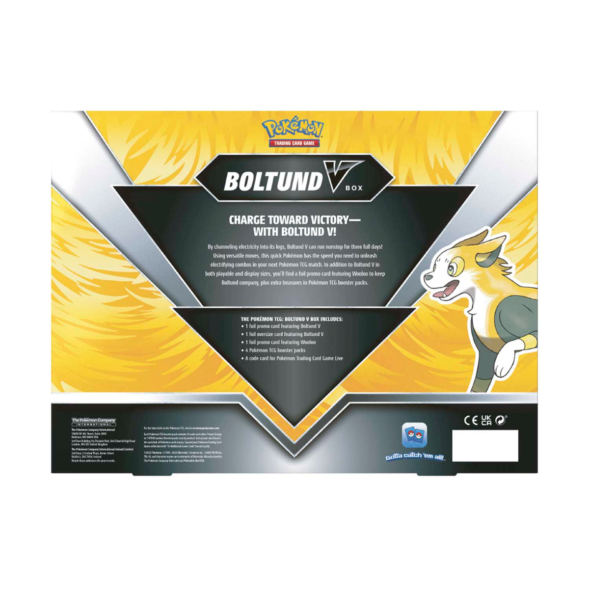 Pokemon TCG: Boltund V Box-The Pokémon Company International-Ace Cards &amp; Collectibles