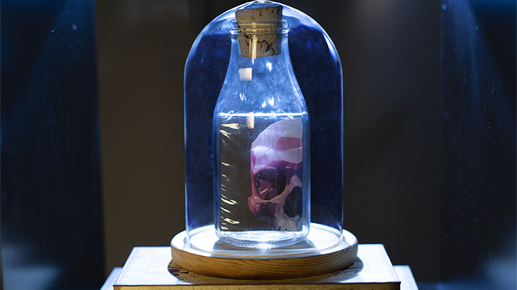 Memento Mori NXS Impossible Bottles-United States Playing Cards Company-Ace Cards &amp; Collectibles